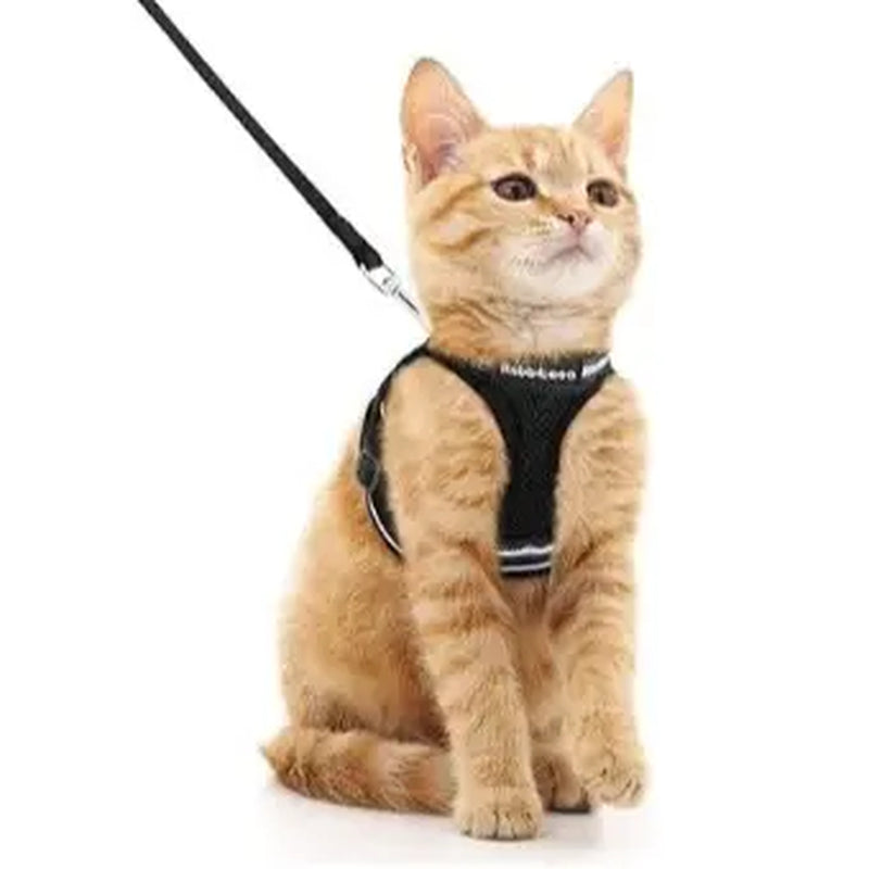 Rabbitgoo Escape Proof Cat Harness and Leash Set