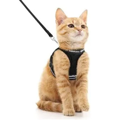 Rabbitgoo Escape Proof Cat Harness and Leash Set