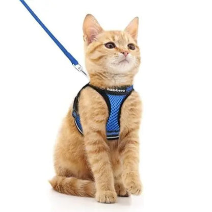 Rabbitgoo Escape Proof Cat Harness and Leash Set