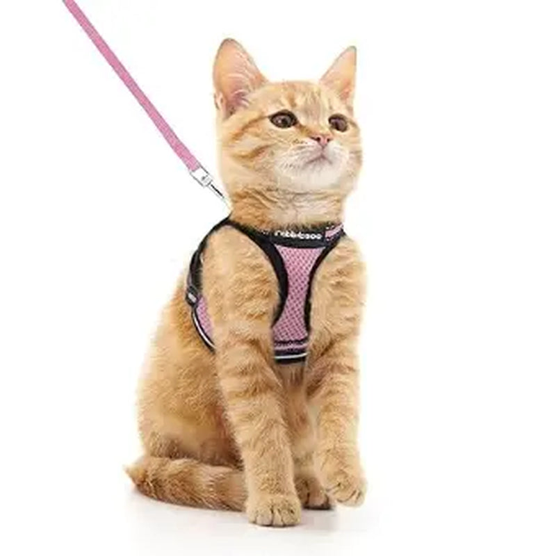 Rabbitgoo Escape Proof Cat Harness and Leash Set