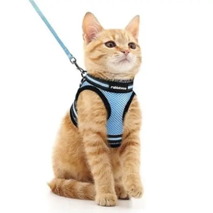 Rabbitgoo Escape Proof Cat Harness and Leash Set