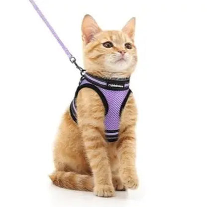 Rabbitgoo Escape Proof Cat Harness and Leash Set
