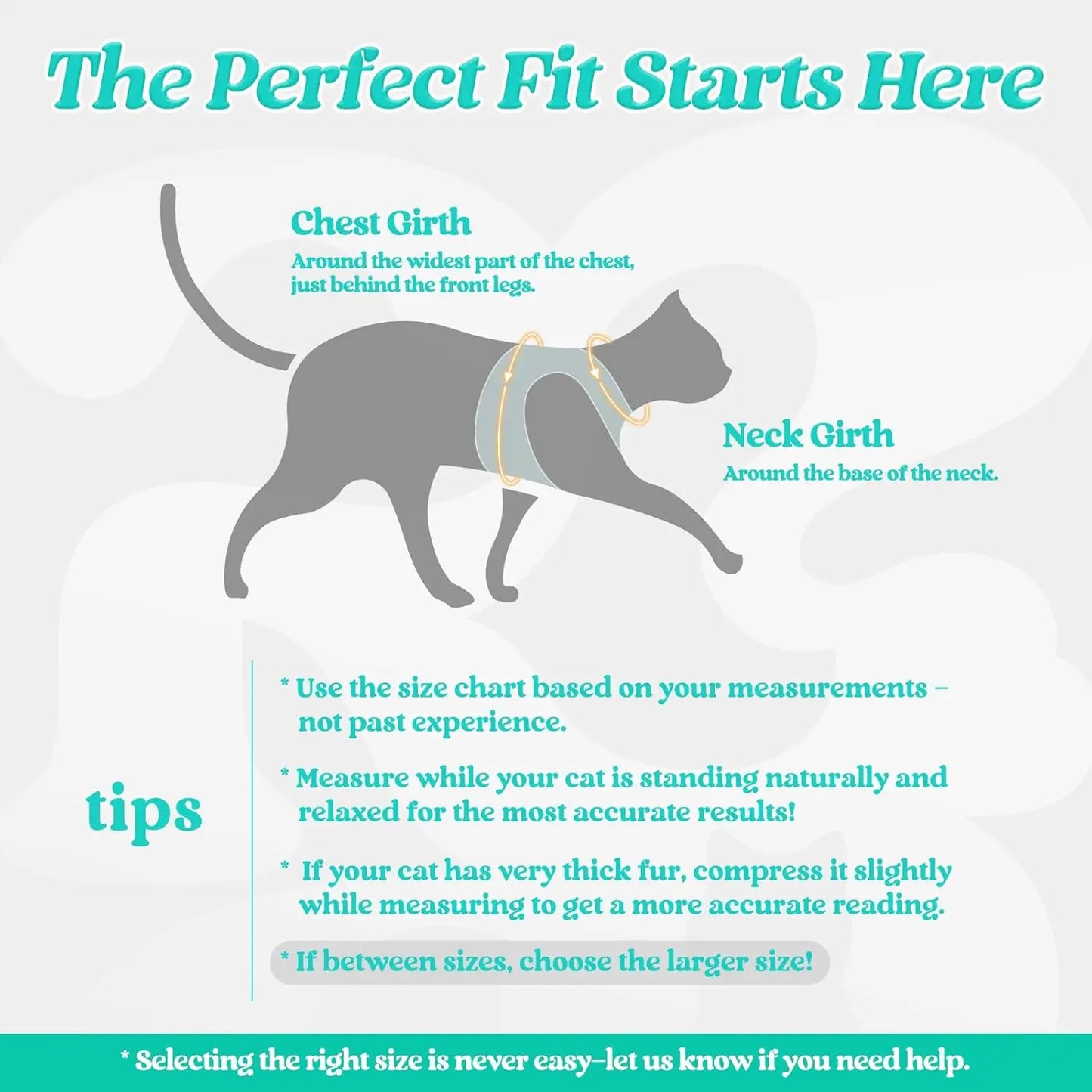 Rabbitgoo Escape Proof Cat Harness and Leash Set