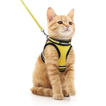 Rabbitgoo Escape Proof Cat Harness and Leash Set