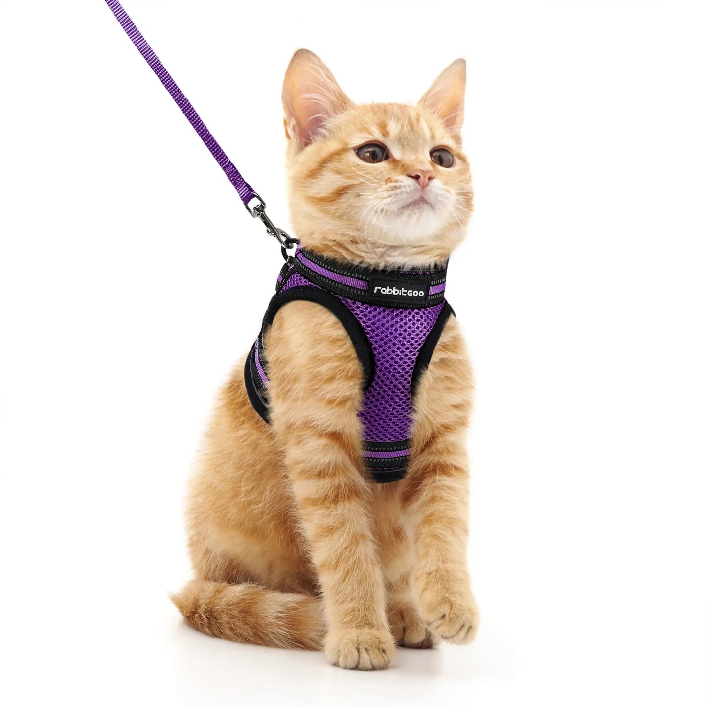 Rabbitgoo Escape Proof Cat Harness and Leash Set